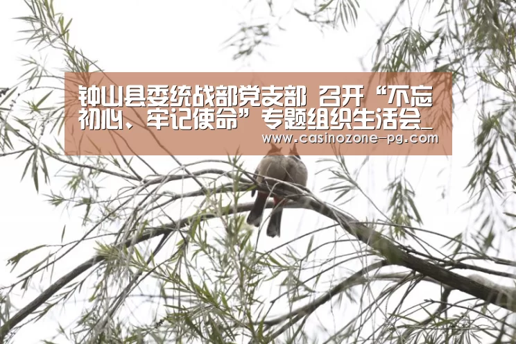 PG亚洲体育